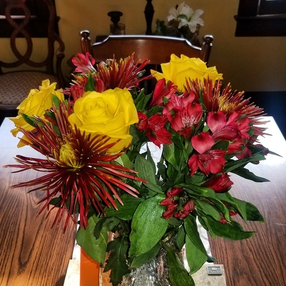 Meet your Posher, Janet - Picture 1 of 1